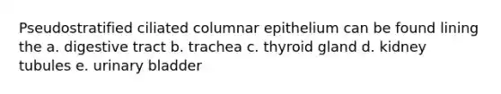 Pseudostratified ciliated columnar epithelium can be found lining the a. digestive tract b. trachea c. thyroid gland d. kidney tubules e. <a href='https://www.questionai.com/knowledge/kb9SdfFdD9-urinary-bladder' class='anchor-knowledge'>urinary bladder</a>