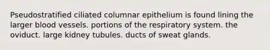 Pseudostratified ciliated columnar epithelium is found lining the larger <a href='https://www.questionai.com/knowledge/kZJ3mNKN7P-blood-vessels' class='anchor-knowledge'>blood vessels</a>. portions of the respiratory system. the oviduct. large kidney tubules. ducts of sweat glands.