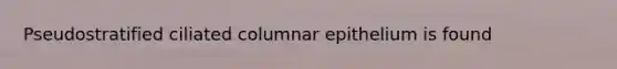 Pseudostratified ciliated columnar epithelium is found