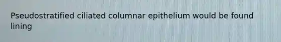 Pseudostratified ciliated columnar epithelium would be found lining