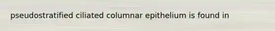 pseudostratified ciliated columnar epithelium is found in