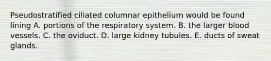 Pseudostratified ciliated columnar epithelium would be found lining A. portions of the respiratory system. B. the larger blood vessels. C. the oviduct. D. large kidney tubules. E. ducts of sweat glands.