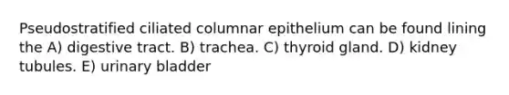 Pseudostratified ciliated columnar epithelium can be found lining the A) digestive tract. B) trachea. C) thyroid gland. D) kidney tubules. E) urinary bladder