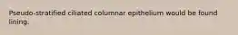 Pseudo-stratified ciliated columnar epithelium would be found lining.