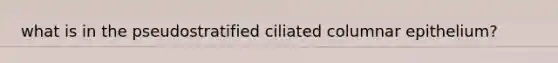 what is in the pseudostratified ciliated columnar epithelium?