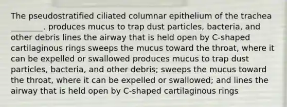 The pseudostratified ciliated columnar epithelium of the trachea ________. produces mucus to trap dust particles, bacteria, and other debris lines the airway that is held open by C-shaped cartilaginous rings sweeps the mucus toward the throat, where it can be expelled or swallowed produces mucus to trap dust particles, bacteria, and other debris; sweeps the mucus toward the throat, where it can be expelled or swallowed; and lines the airway that is held open by C-shaped cartilaginous rings