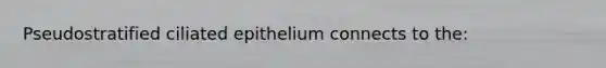 Pseudostratified ciliated epithelium connects to the: