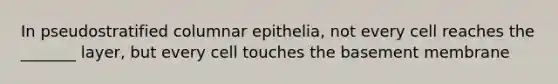 In pseudostratified columnar epithelia, not every cell reaches the _______ layer, but every cell touches the basement membrane