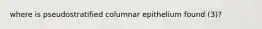 where is pseudostratified columnar epithelium found (3)?