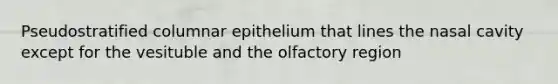 Pseudostratified columnar epithelium that lines the nasal cavity except for the vesituble and the olfactory region