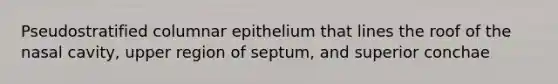 Pseudostratified columnar epithelium that lines the roof of the nasal cavity, upper region of septum, and superior conchae