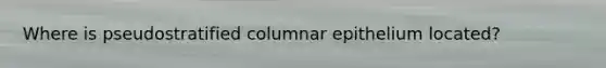 Where is pseudostratified columnar epithelium located?