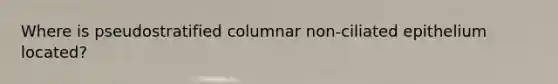 Where is pseudostratified columnar non-ciliated epithelium located?