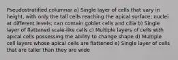 Pseudostratified columnar a) Single layer of cells that vary in height, with only the tall cells reaching the apical surface; nuclei at different levels; can contain goblet cells and cilia b) Single layer of flattened scale-like cells c) Multiple layers of cells with apical cells possessing the ability to change shape d) Multiple cell layers whose apical cells are flattened e) Single layer of cells that are taller than they are wide