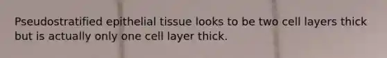 Pseudostratified epithelial tissue looks to be two cell layers thick but is actually only one cell layer thick.