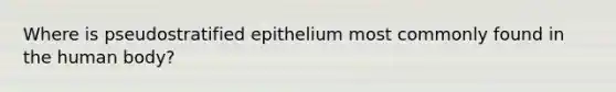 Where is pseudostratified epithelium most commonly found in the human body?