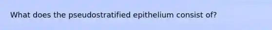 What does the pseudostratified epithelium consist of?