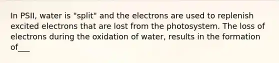 In PSII, water is "split" and the electrons are used to replenish excited electrons that are lost from the photosystem. The loss of electrons during the oxidation of water, results in the formation of___