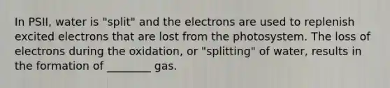 In PSII, water is "split" and the electrons are used to replenish excited electrons that are lost from the photosystem. The loss of electrons during the oxidation, or "splitting" of water, results in the formation of ________ gas.