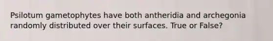 Psilotum gametophytes have both antheridia and archegonia randomly distributed over their surfaces. True or False?
