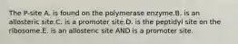 The P-site A. is found on the polymerase enzyme.B. is an allosteric site.C. is a promoter site.D. is the peptidyl site on the ribosome.E. is an allosteric site AND is a promoter site.