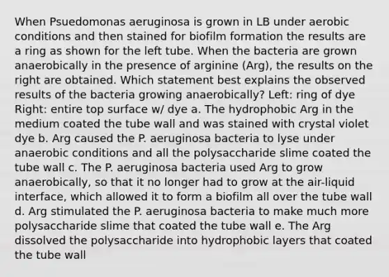 When Psuedomonas aeruginosa is grown in LB under aerobic conditions and then stained for biofilm formation the results are a ring as shown for the left tube. When the bacteria are grown anaerobically in the presence of arginine (Arg), the results on the right are obtained. Which statement best explains the observed results of the bacteria growing anaerobically? Left: ring of dye Right: entire top surface w/ dye a. The hydrophobic Arg in the medium coated the tube wall and was stained with crystal violet dye b. Arg caused the P. aeruginosa bacteria to lyse under anaerobic conditions and all the polysaccharide slime coated the tube wall c. The P. aeruginosa bacteria used Arg to grow anaerobically, so that it no longer had to grow at the air-liquid interface, which allowed it to form a biofilm all over the tube wall d. Arg stimulated the P. aeruginosa bacteria to make much more polysaccharide slime that coated the tube wall e. The Arg dissolved the polysaccharide into hydrophobic layers that coated the tube wall