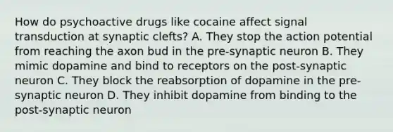 How do psychoactive drugs like cocaine affect signal transduction at synaptic clefts? A. They stop the action potential from reaching the axon bud in the pre-synaptic neuron B. They mimic dopamine and bind to receptors on the post-synaptic neuron C. They block the reabsorption of dopamine in the pre-synaptic neuron D. They inhibit dopamine from binding to the post-synaptic neuron