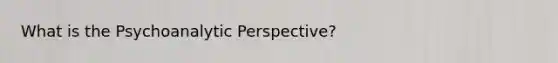 What is the Psychoanalytic Perspective?