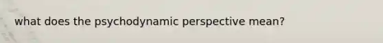 what does the psychodynamic perspective mean?