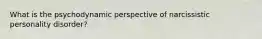 What is the psychodynamic perspective of narcissistic personality disorder?