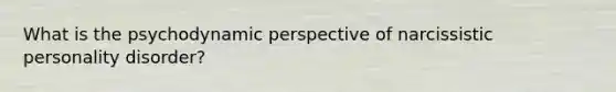 What is the psychodynamic perspective of narcissistic personality disorder?