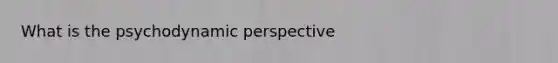 What is the psychodynamic perspective