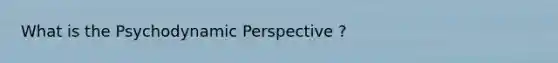 What is the Psychodynamic Perspective ?