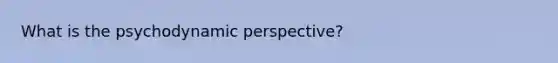 What is the psychodynamic perspective?