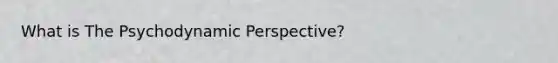 What is The Psychodynamic Perspective?