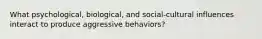 What psychological, biological, and social-cultural influences interact to produce aggressive behaviors?