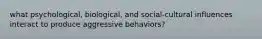 what psychological, biological, and social-cultural influences interact to produce aggressive behaviors?