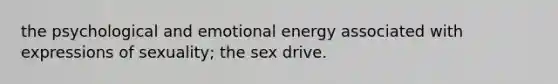 the psychological and emotional energy associated with expressions of sexuality; the sex drive.