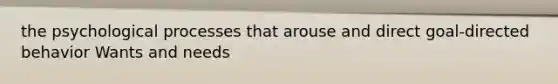 the psychological processes that arouse and direct goal-directed behavior Wants and needs