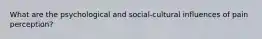 What are the psychological and social-cultural influences of pain perception?