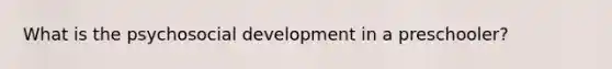 What is the psychosocial development in a preschooler?