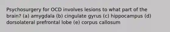 Psychosurgery for OCD involves lesions to what part of the brain? (a) amygdala (b) cingulate gyrus (c) hippocampus (d) dorsolateral prefrontal lobe (e) corpus callosum
