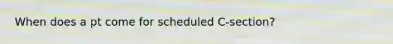 When does a pt come for scheduled C-section?