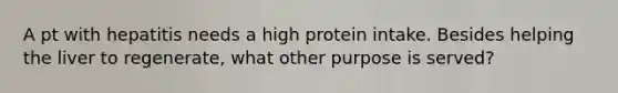 A pt with hepatitis needs a high protein intake. Besides helping the liver to regenerate, what other purpose is served?