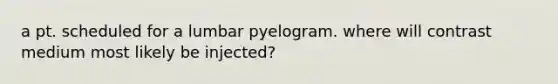 a pt. scheduled for a lumbar pyelogram. where will contrast medium most likely be injected?