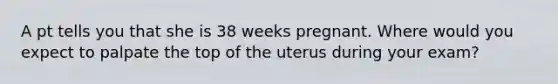 A pt tells you that she is 38 weeks pregnant. Where would you expect to palpate the top of the uterus during your exam?