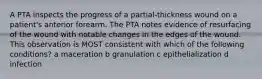 A PTA inspects the progress of a partial-thickness wound on a patient's anterior forearm. The PTA notes evidence of resurfacing of the wound with notable changes in the edges of the wound. This observation is MOST consistent with which of the following conditions? a maceration b granulation c epithelialization d infection