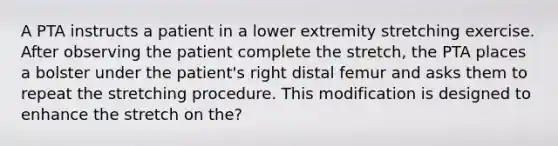 A PTA instructs a patient in a lower extremity stretching exercise. After observing the patient complete the stretch, the PTA places a bolster under the patient's right distal femur and asks them to repeat the stretching procedure. This modification is designed to enhance the stretch on the?