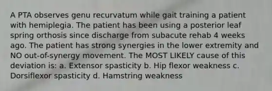 A PTA observes genu recurvatum while gait training a patient with hemiplegia. The patient has been using a posterior leaf spring orthosis since discharge from subacute rehab 4 weeks ago. The patient has strong synergies in the lower extremity and NO out-of-synergy movement. The MOST LIKELY cause of this deviation is: a. Extensor spasticity b. Hip flexor weakness c. Dorsiflexor spasticity d. Hamstring weakness