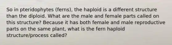 So in pteridophytes (ferns), the haploid is a different structure than the diploid. What are the male and female parts called on this structure? Because it has both female and male reproductive parts on the same plant, what is the fern haploid structure/process called?